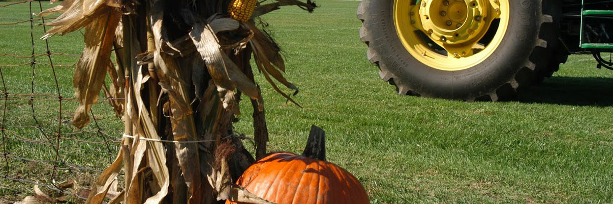 pumpkin and john deere