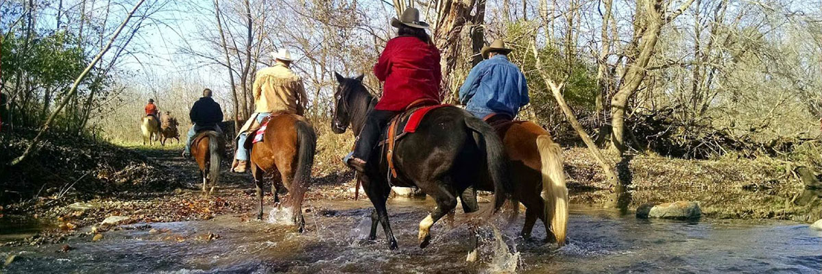 people riding horses through stream