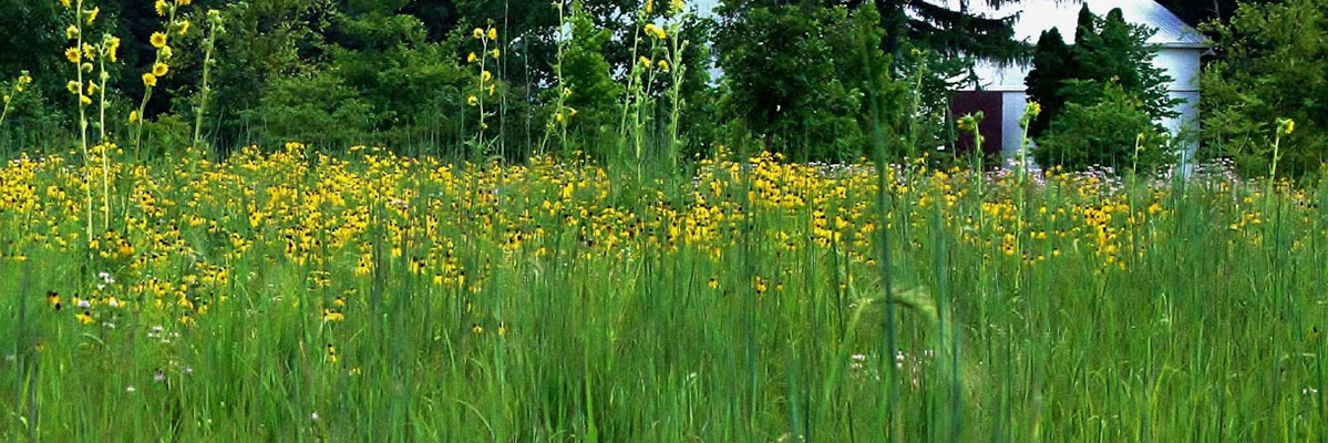 prairie and barn