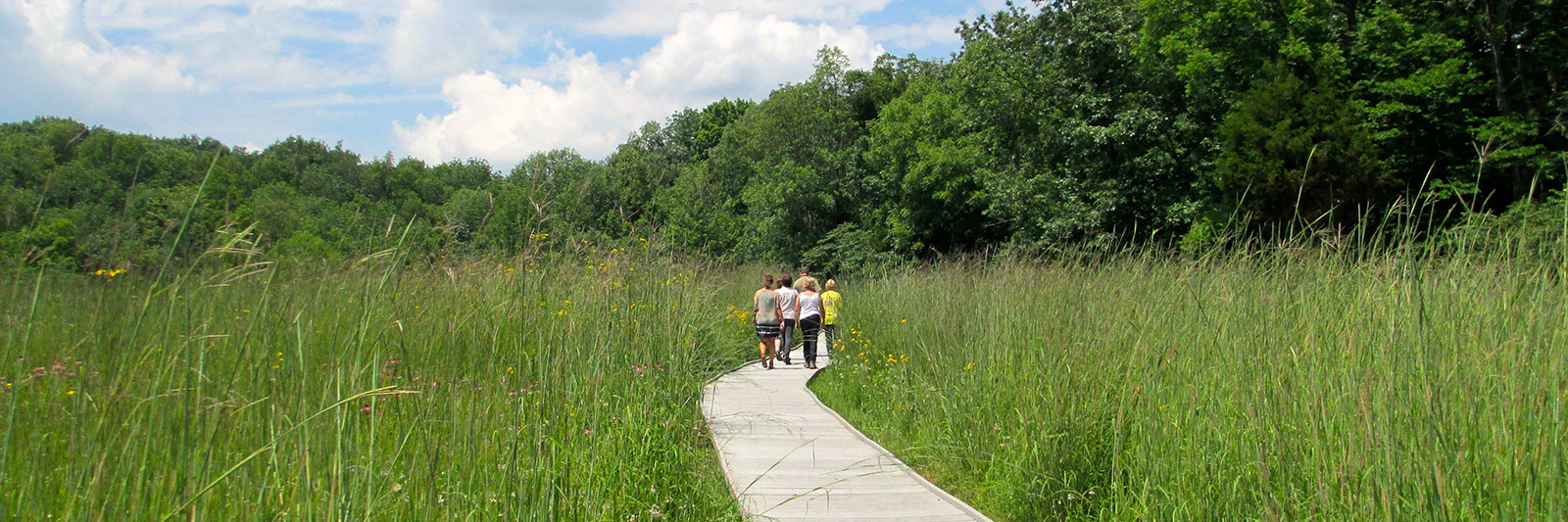 Health & Wellness | Miami County Park District