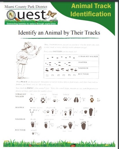 Animal Track ID Guide