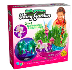 Fairy Garden