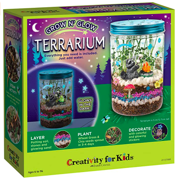 Grow Your Own Terrarium