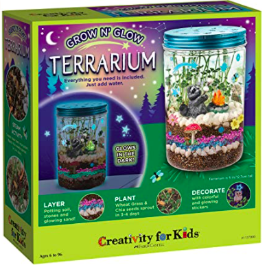 Grow Your Own Terrarium