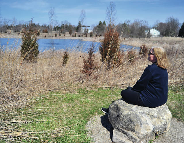 Meditating at Hobart Nature Preserve