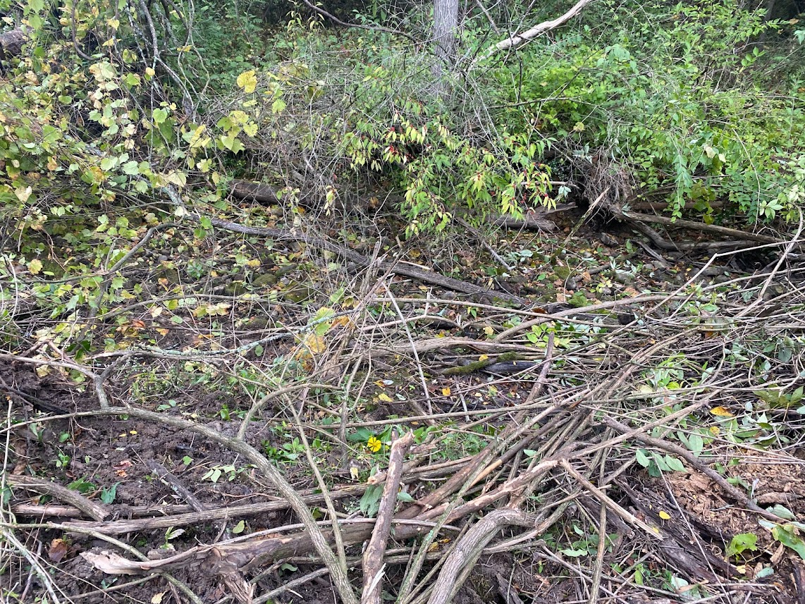 JAWR Site