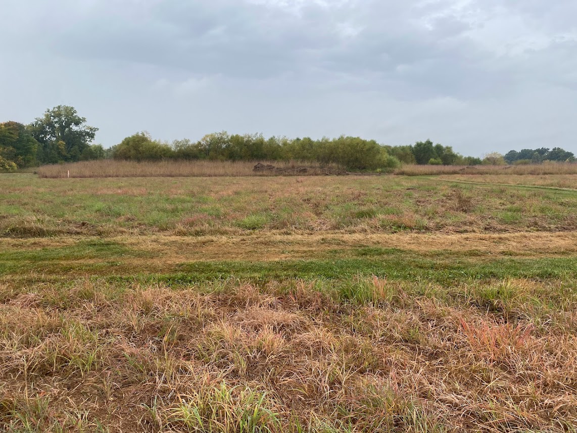 JAWR site