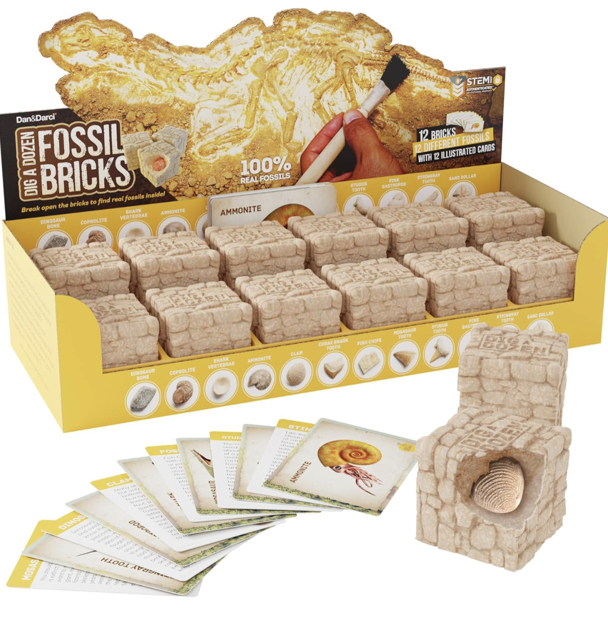 Dig It Out Fossil