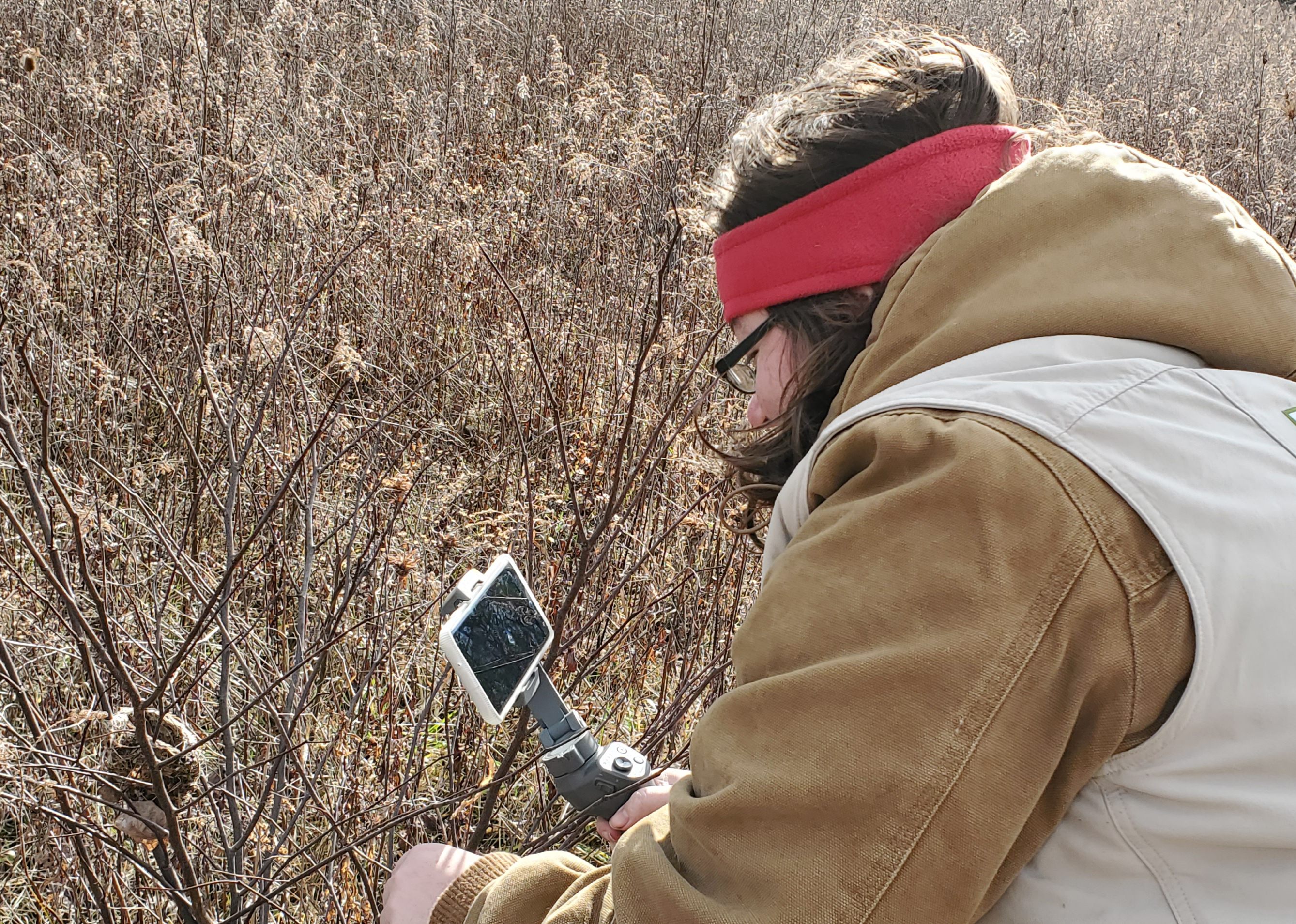 Naturalist looking at a nest