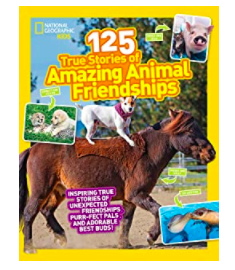 Amazing Animals Book