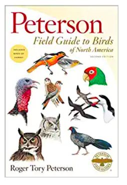 Birds Field Guide