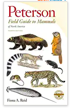 Mammals Field Guide