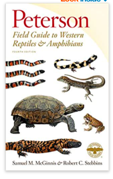 Reptiles & Amphibians Field Guide