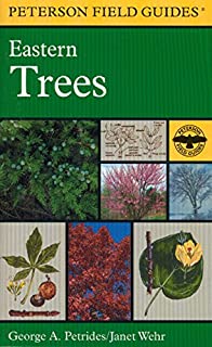 Tree Field Guide