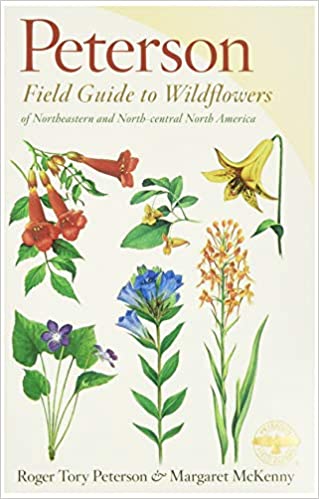 Wildflower Field Guide