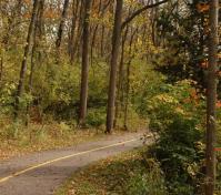 bikepath in fall