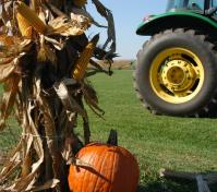 pumpkin and john deere