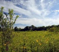 view of preserve