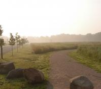 view of path as the haze lifts