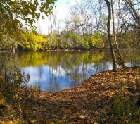 pond view