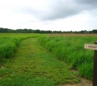 path sign and grassy path