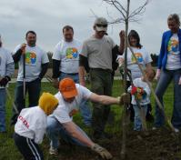 volunteers planting a tree