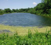 pond view