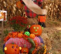 pumpkin scarecrow