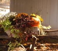 wagon planter