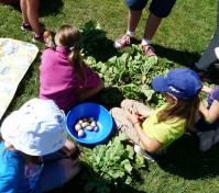 kids working in the garden