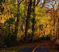 Bikeway by Doug Fosnight