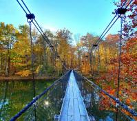 Suspension Bridge by Reenie Beenie