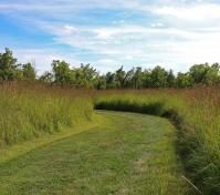 Trail through prairie