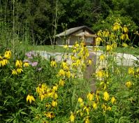 wildflowers restroom