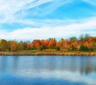 Pond all by Brian Rice