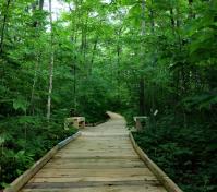 New Boardwalk Robert Japikse