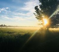 Morning sunrise by Jenna Sherman