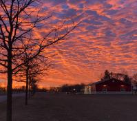 Sunrise from entrance lane