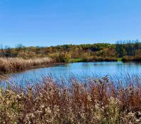 Overlook pond