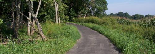 bikepath in the spring