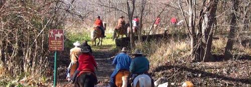 horseback riders