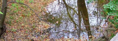 view of river