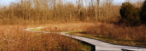 boardwalk