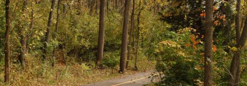 bikepath in fall