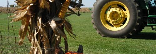 pumpkin and john deere