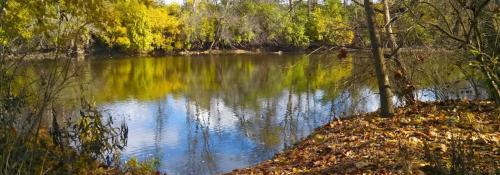 pond view