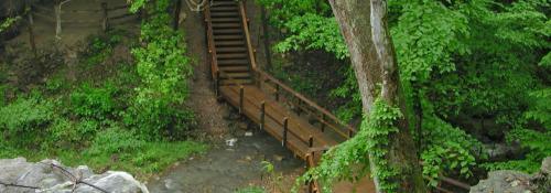 boardwalk in ravine