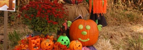 pumpkin scarecrow