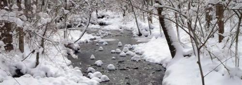 snow capped rocks