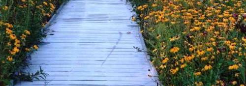 prairie boardwalk